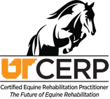 CERP CERP