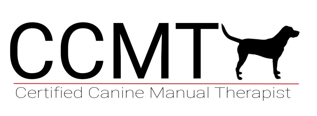 CCMT logo