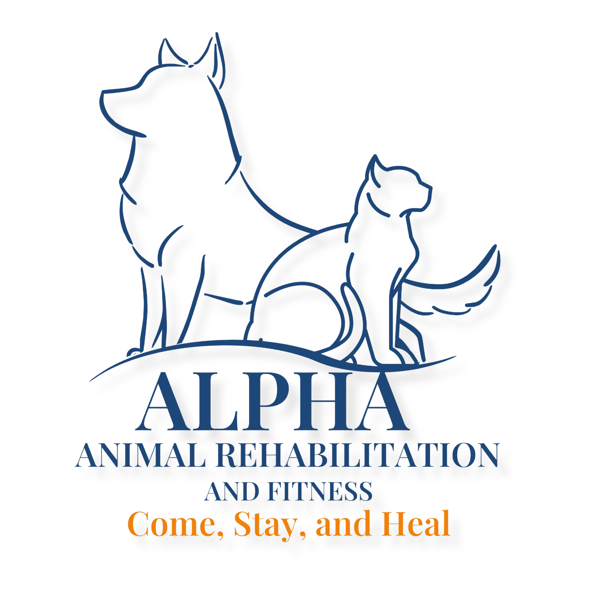 ALPHA Animal Rehabilitation and Fitness