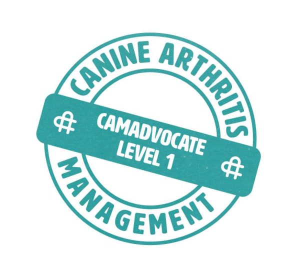 CAMadvocate1 logo