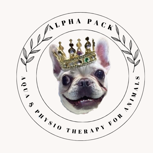 Alpha Pack, Aqua and Physio Therapy for Animals LLC