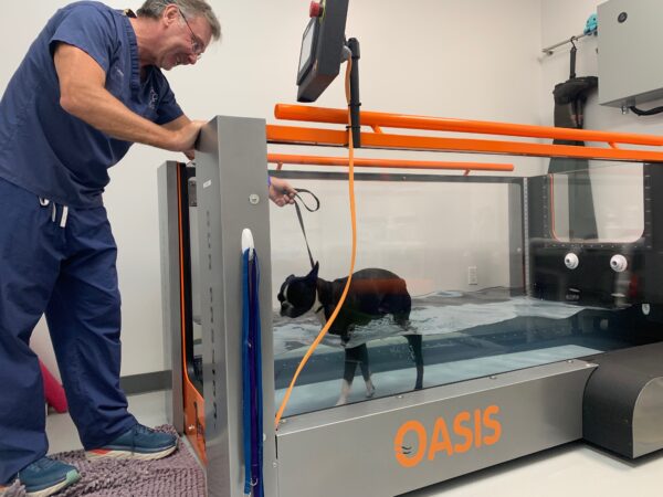 Hydrotherapy Rvt File Principles of Hydrotherapy Online Course - NCSUVetCE